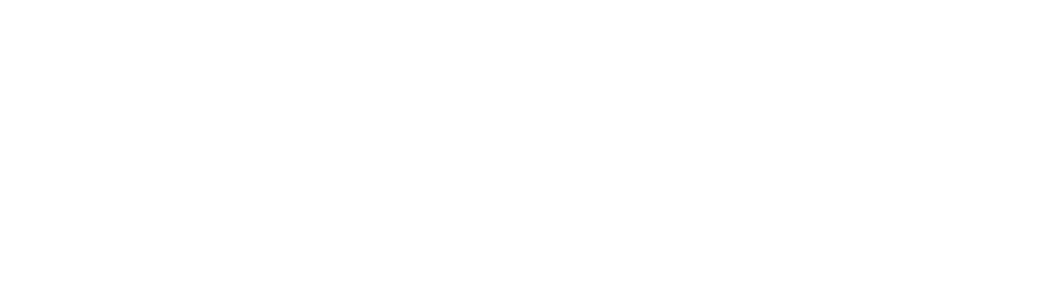 NieTek